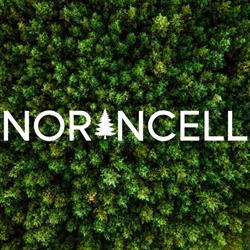 NORANCELL S.L, Irun