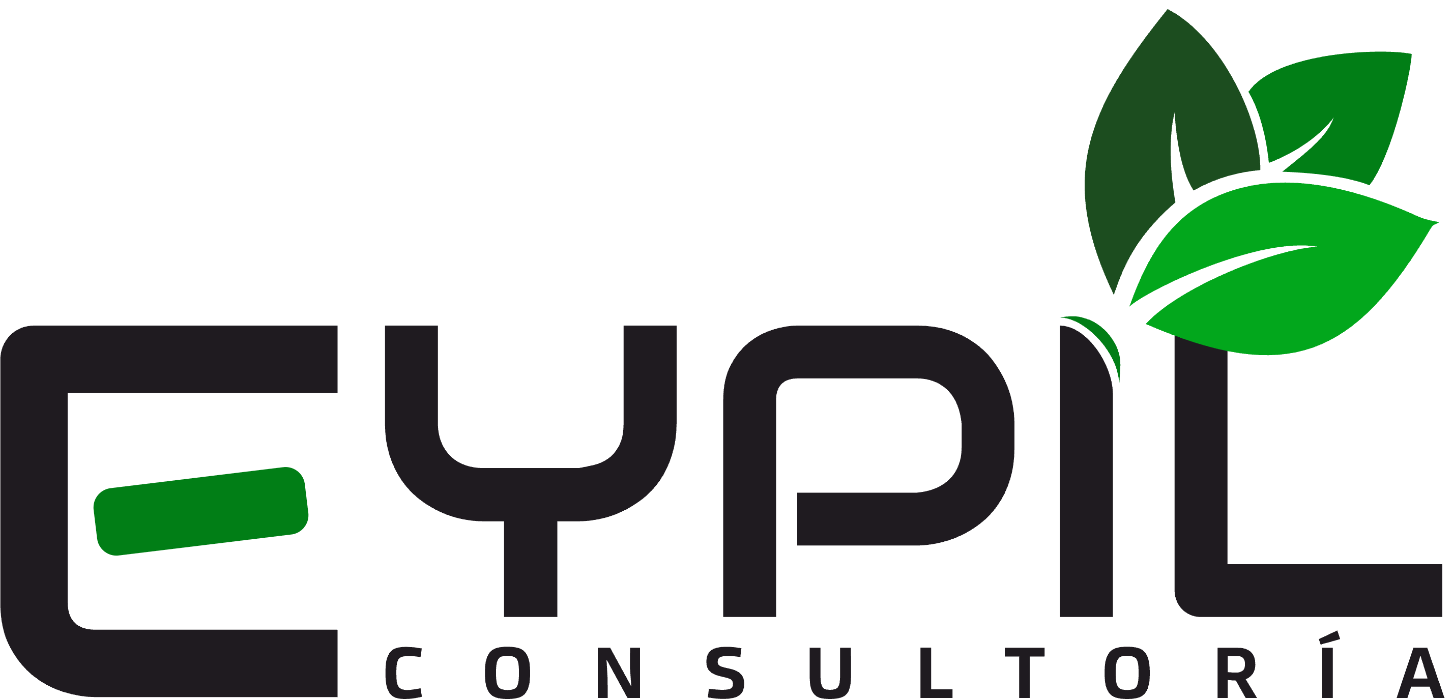 Eypil Consultoría, Montijo
