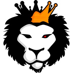 Positive Thinkking, Zamora