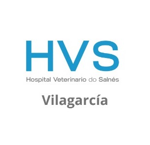HVS - Hospital Veterinario do Salnés - Vilagarcía, Vilagarcía de Arousa